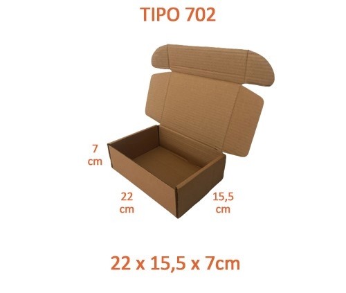 TIPO 702 (22x15,5x7)Sem Logotipo (50 unid.)