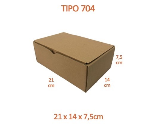 TIPO 704 (21x14x7,5)