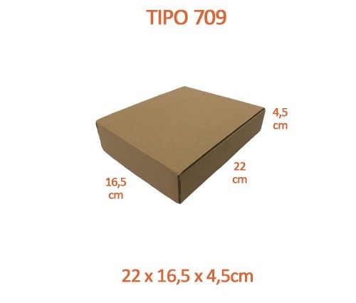 TIPO 709 (22x16,5x4,5)