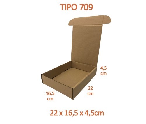 TIPO 709 (22x16,5x4,5) Sem Logotipo (50 unid.)